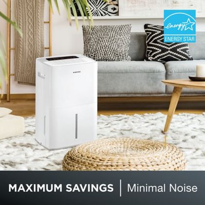 Image showing 6 th Amana Energy Star 50 pt., Portable Dehumidifier with Pump