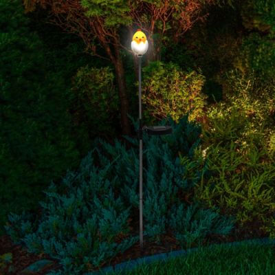 Image showing  Solar Chick