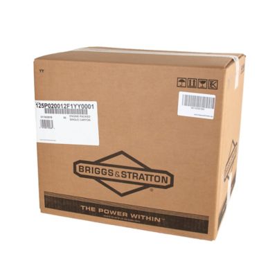 Image showing 7 th Briggs & Stratton 875 Professional Series 4 Cycle Gas Engine, Single Cylinder, Air Cooled, 25mm x 3-5/32 in. Crankshaft