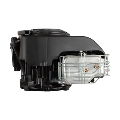 Image showing 5 th Briggs & Stratton 1000 Professional Series, Single Cylinder, Air Cooled, 4 Cycle Gas Engine, 25mm x 3-5/32 in. Crankshaft