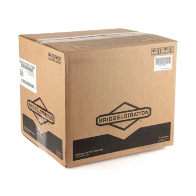 Image showing 6 th Briggs & Stratton 1000 Professional Series, Single Cylinder, Air Cooled, 4 Cycle Gas Engine, 25mm x 3-5/32 in. Crankshaft