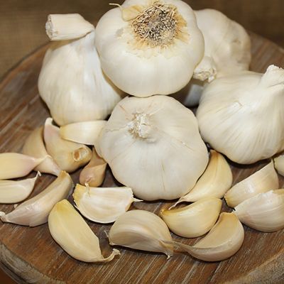 Van Zyverden Garlic Softneck Silverskin Italian Late, Set of 3 Cloves