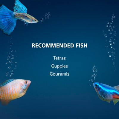 Image showing 5 th Aqueon Aquarium LED Kit, 5.5 gal.