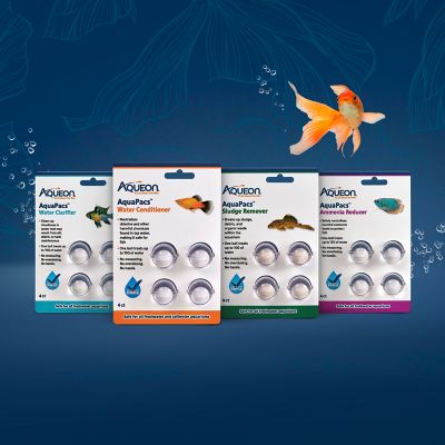 Image showing 6 th Aqueon Water Conditioner, 4 pk.