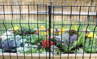 Image showing  43 in. H Mini Multi Purpose Fence Post