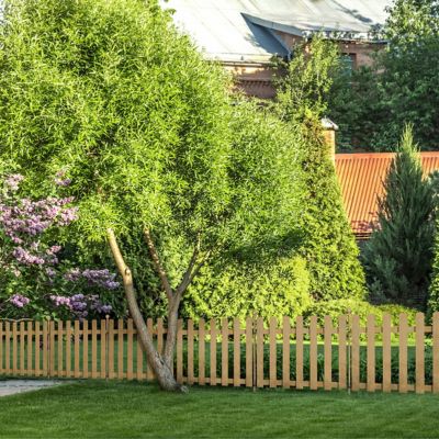 Image showing  50 in. Brown No Dig Post & Stake