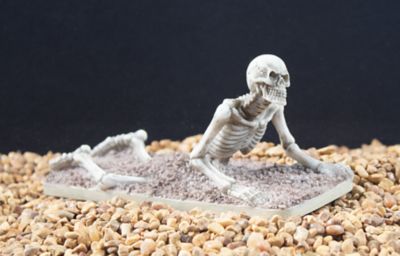 Image showing  Skeleton Escape Resin Ornament