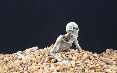 Image showing  Skeleton Escape Resin Ornament