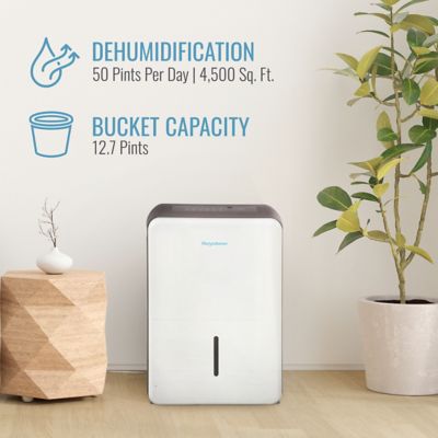 Image showing  50 pt. Dehumidifier with Built In Pump
