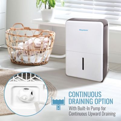 Image showing  50 pt. Dehumidifier with Built In Pump