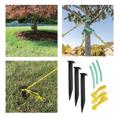 Image showing  Tree Stake Kit with Stakes, Vinyl Rope and Protective Tube for Young and Maturing Trees (12 Pack)