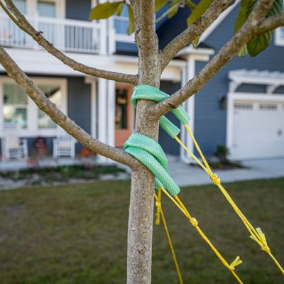 Image showing 6 th Garden Craft Tree Stake Kit with Stakes, Vinyl Rope and Protective Tube for Young and Maturing Trees (12 Pack)