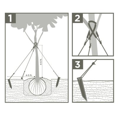 Image showing 7 th Garden Craft Tree Stake Kit with Stakes, Vinyl Rope and Protective Tube for Young and Maturing Trees (12 Pack)