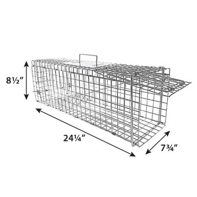 Image showing  24 in. Collapsible Single Door Animal Trap
