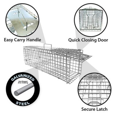Image showing 5 th FIRST DEFENSE 24 in. Collapsible Single Door Animal Trap