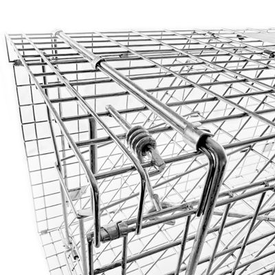 Image showing  32 in. Collapsible Single Door Animal Trap