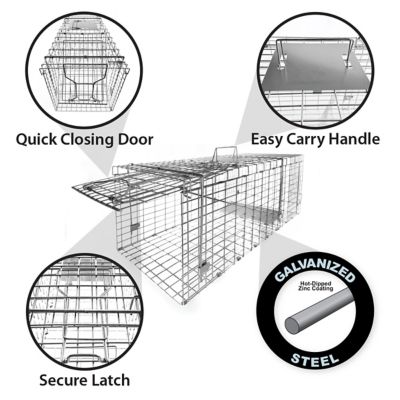Image showing 5 th FIRST DEFENSE 32 in. Collapsible Single Door Animal Trap