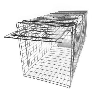 FIRST DEFENSE 36 in. Collapsible Single Door Animal Trap