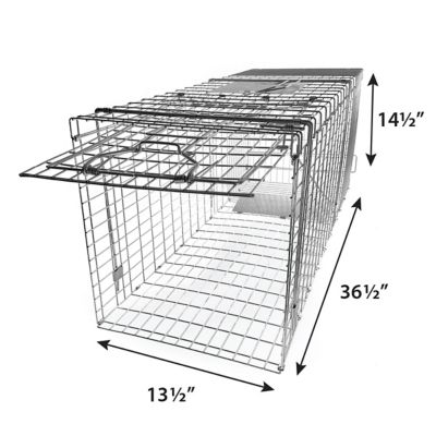 Image showing  36 in. Collapsible Single Door Animal Trap