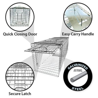 Image showing  36 in. Collapsible Single Door Animal Trap