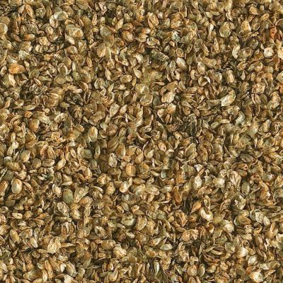 Image showing  Daphnia Treat, 0.5 oz.