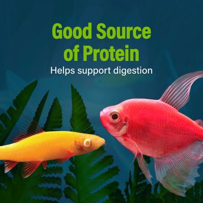 Image showing 7 th GloFish Daphnia Treat, 0.5 oz.