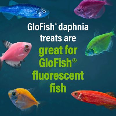 Image showing 8 th GloFish Daphnia Treat, 0.5 oz.