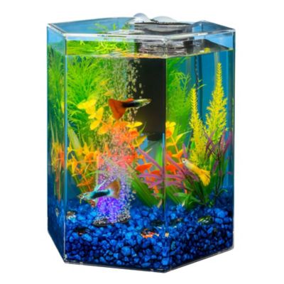 Image showing 5 th Tetra Colorfusion Kit, 1 gal.
