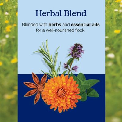 Image showing 8 th Nutrena NatureWise Silkie & Ornamental Chick Starter Grower Clean Mini Crumble, 7 lb.