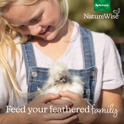 Image showing 9 th Nutrena NatureWise Silkie & Ornamental Chick Starter Grower Clean Mini Crumble, 7 lb.