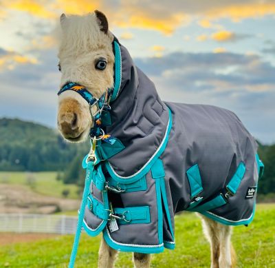 Image showing  Extra-Heavyweight 400 G 1200 Denier Miniature Horse-Pony Blanket