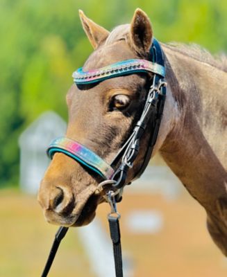 Star Point Horsemanship Miniature Horse Rainbow Glitter Bridle/Reins Set