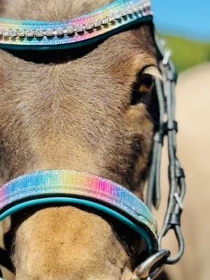 Image showing  Miniature Horse Rainbow Glitter Bridle/Reins Set