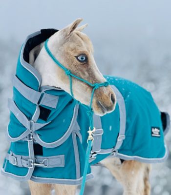 Image showing  Extra Heavyweight 400 G 1200 D Bellyband Blanket, 36-52 in.