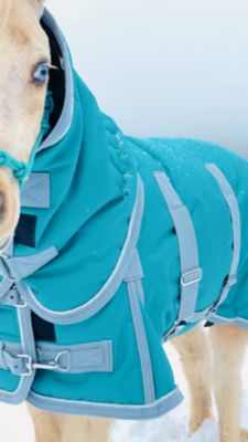 Image showing  Extra Heavyweight 400 G 1200 D Bellyband Blanket, 36-52 in.