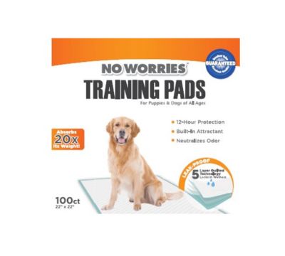 Four Paws Training Pads, 22 x 22 in., 10 ct.