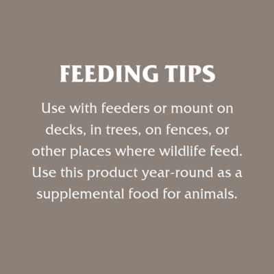 Image showing 5 th Royal Wing In-Shell Peanuts Wild Bird Food, 10 lb.