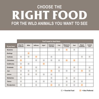Image showing 6 th Royal Wing In-Shell Peanuts Wild Bird Food, 10 lb.
