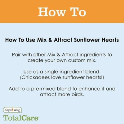 Image showing  Sunflower Hearts, 1 lb.