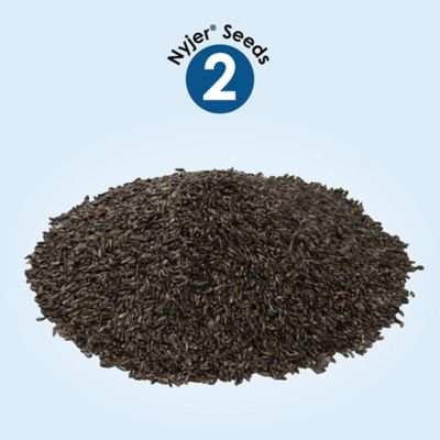 Image showing  Nyjer Seed, 1 lb.
