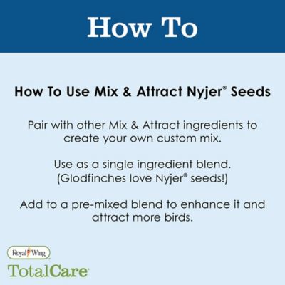 Image showing  Nyjer Seed, 1 lb.