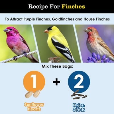 Image showing  Nyjer Seed, 1 lb.