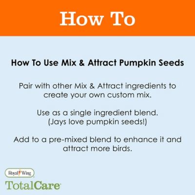 Image showing  Shelled Pumpkin, 12 oz.