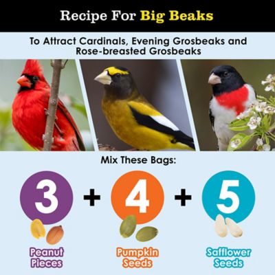 Image showing  Shelled Pumpkin, 12 oz.