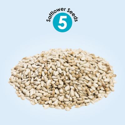 Image showing  Safflower, 1 lb.