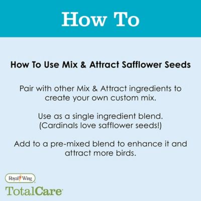 Image showing  Safflower, 1 lb.