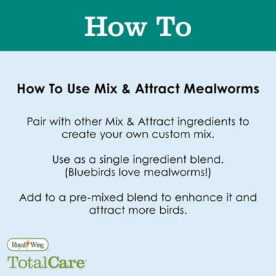 Image showing  M&A Mealworms, 4 oz.
