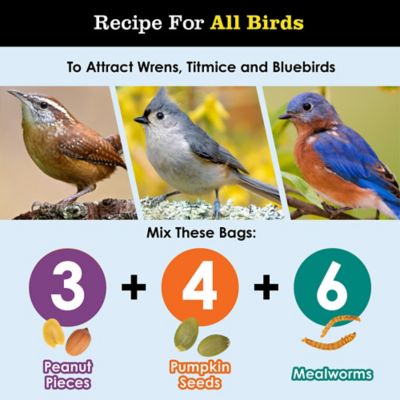 Image showing  M&A Mealworms, 4 oz.