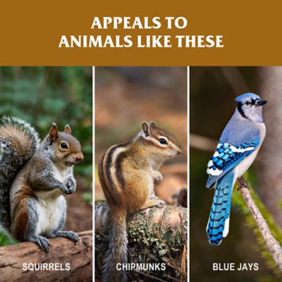 Image showing  Critter Log Wild Animal Food, 2.5 lb.