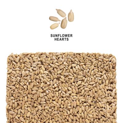 Image showing  Sunflower Hearts Wild Bird Seed Cake